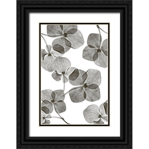 Botanical 39 Black Ornate Wood Framed Art Print with Double Matting by Lenka