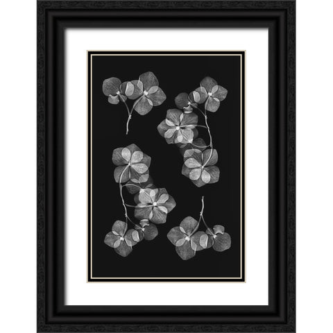Botanical 46 Black Ornate Wood Framed Art Print with Double Matting by Lenka