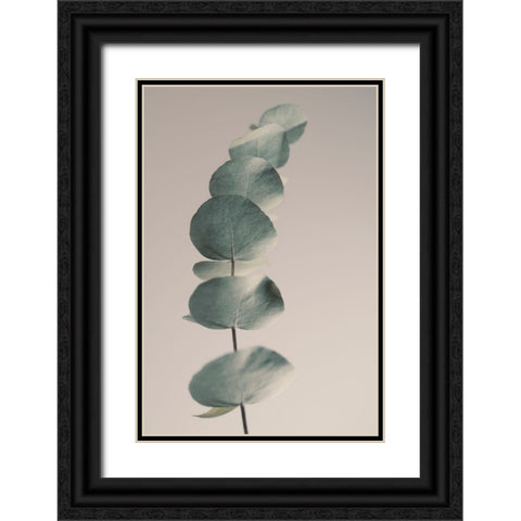 Fragrant Leaves Ll Black Ornate Wood Framed Art Print with Double Matting by Westum, Heidi