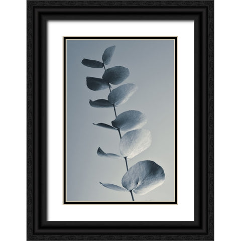 Fragrant Leaves Black Ornate Wood Framed Art Print with Double Matting by Westum, Heidi