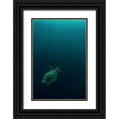 The Fly Of The Hawksbill Black Ornate Wood Framed Art Print with Double Matting by Melesan, Serge
