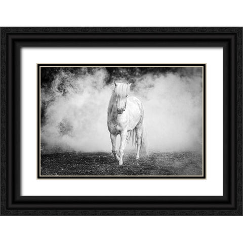 Icelandic Pony Black Ornate Wood Framed Art Print with Double Matting by C. Sink, Jeffrey