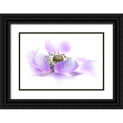 Voile Black Ornate Wood Framed Art Print with Double Matting by Parker, Jacky