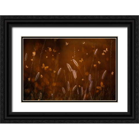 Love Is In The Air Black Ornate Wood Framed Art Print with Double Matting by Kiral, Cicek