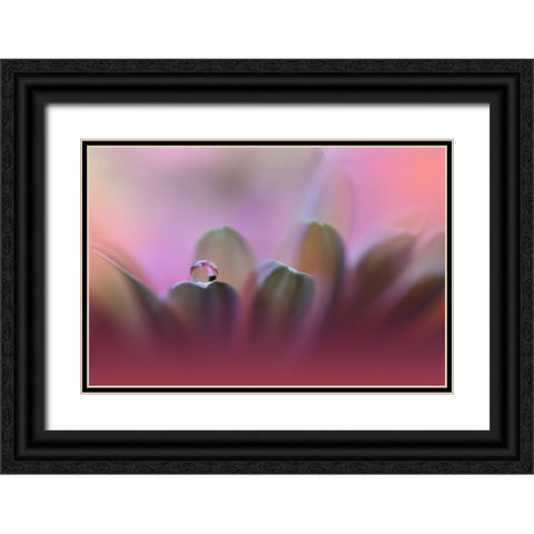 Untitled Black Ornate Wood Framed Art Print with Double Matting by Nan, Juliana