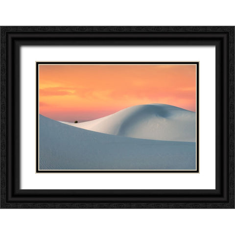 White Sands Black Ornate Wood Framed Art Print with Double Matting by Ning, Aidong
