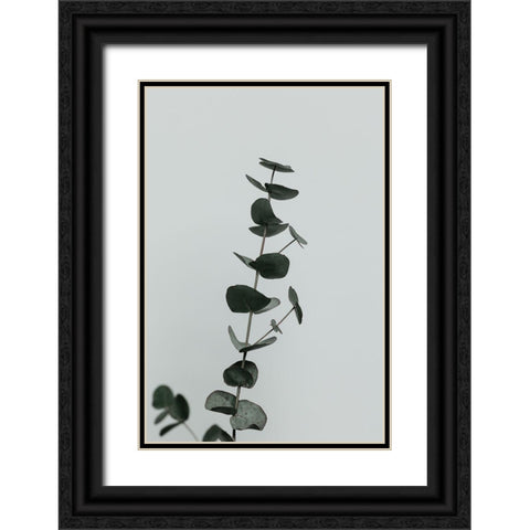 Eucalyptus Natural 10 Black Ornate Wood Framed Art Print with Double Matting by 1x Studio III