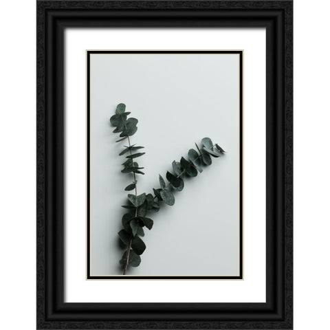Eucalyptus Wall 02 Black Ornate Wood Framed Art Print with Double Matting by 1x Studio III