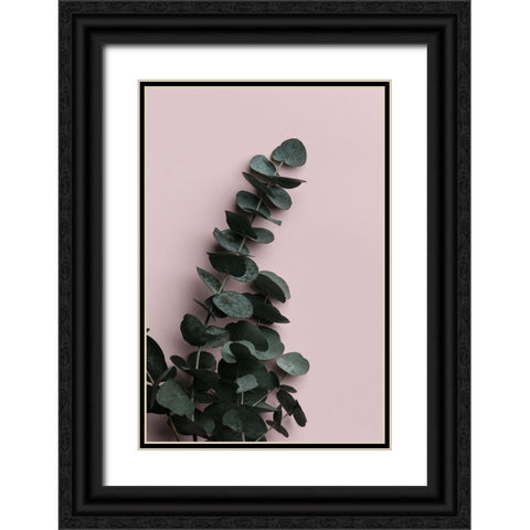 Eucalyptus Pink No02 Black Ornate Wood Framed Art Print with Double Matting by 1x Studio III