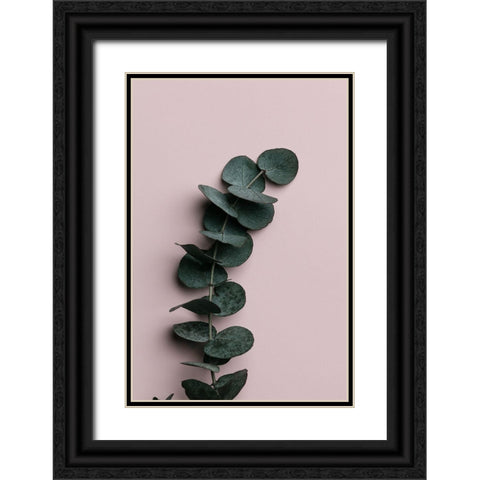 Eucalyptus Pink No 01 Black Ornate Wood Framed Art Print with Double Matting by 1x Studio III