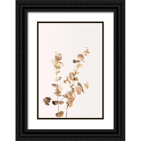 Eucalyptus Gold No 02 Black Ornate Wood Framed Art Print with Double Matting by 1x Studio III