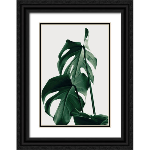 Monstera Natural 26 Black Ornate Wood Framed Art Print with Double Matting by 1x Studio III