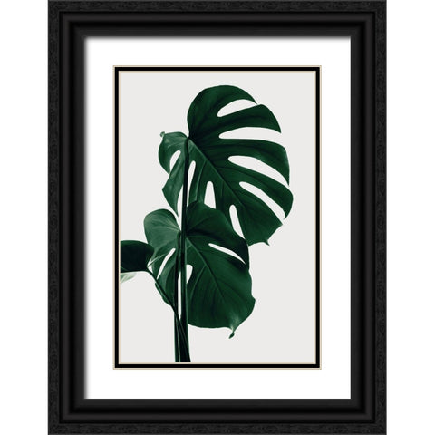 Monstera Natural 28 Black Ornate Wood Framed Art Print with Double Matting by 1x Studio III
