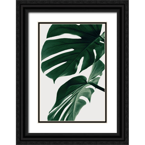 Monstera Natural 31 Black Ornate Wood Framed Art Print with Double Matting by 1x Studio III