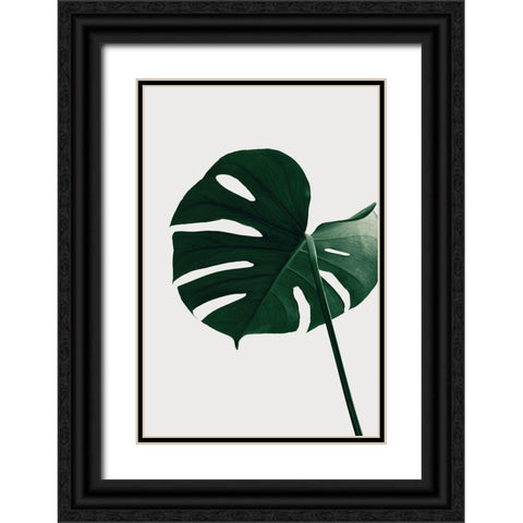 Monstera Natural 33 Black Ornate Wood Framed Art Print with Double Matting by 1x Studio III