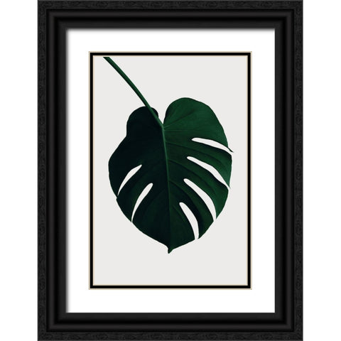 Monstera Natural 35 Black Ornate Wood Framed Art Print with Double Matting by 1x Studio III