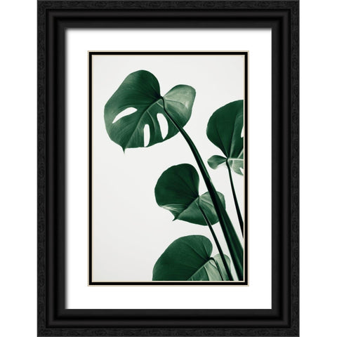 Monstera Natural 38 Black Ornate Wood Framed Art Print with Double Matting by 1x Studio III