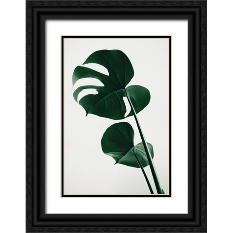 Monstera Natural 41 Black Ornate Wood Framed Art Print with Double Matting by 1x Studio III
