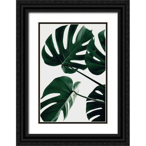 Monstera Natural 43 Black Ornate Wood Framed Art Print with Double Matting by 1x Studio III