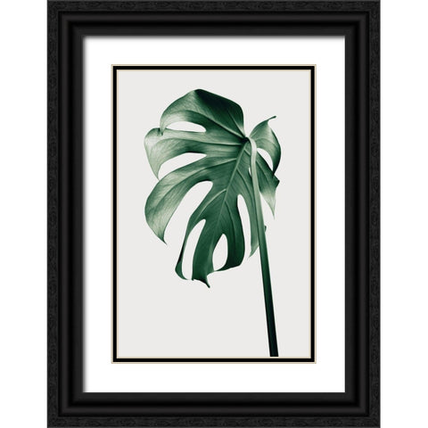 Monstera Natural 44 Black Ornate Wood Framed Art Print with Double Matting by 1x Studio III