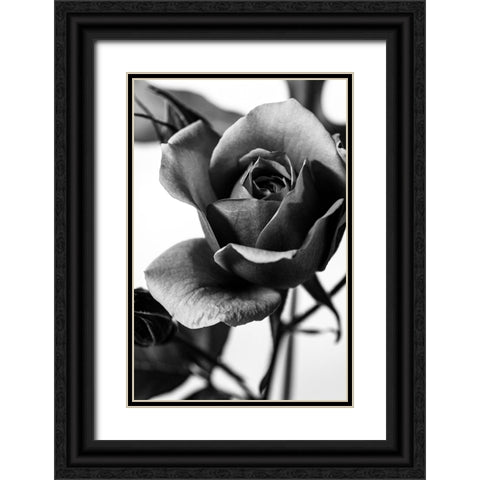 Let Me Know Black Ornate Wood Framed Art Print with Double Matting by Stella, CYAN