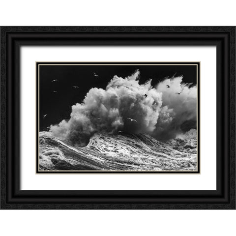Birds In The Storm (Part 1) Black Ornate Wood Framed Art Print with Double Matting by Lazzarotti, Paolo