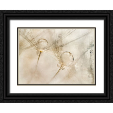 Watercolors Black Ornate Wood Framed Art Print with Double Matting by Talen, Nel