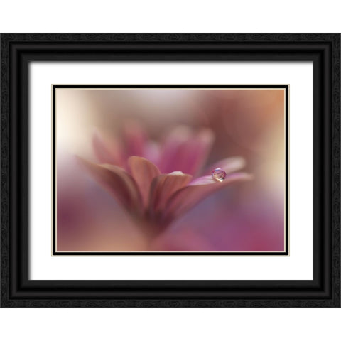 Untitled Black Ornate Wood Framed Art Print with Double Matting by Nan, Juliana