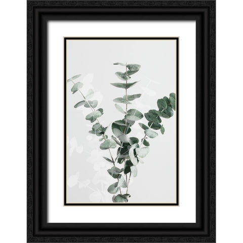 Eucalyptus Creative 01 Black Ornate Wood Framed Art Print with Double Matting by 1x Studio III