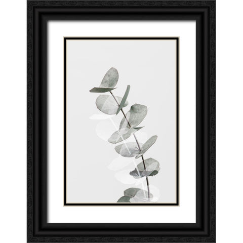 Eucalyptus Creative 05 Black Ornate Wood Framed Art Print with Double Matting by 1x Studio III
