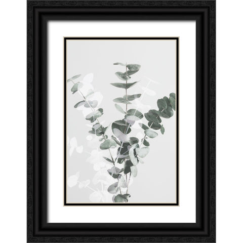 Eucalyptus Creative 07 Black Ornate Wood Framed Art Print with Double Matting by 1x Studio III
