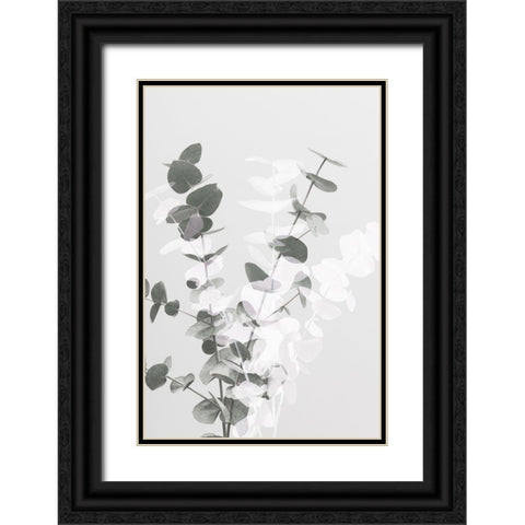 Eucalyptus Creative 08 Black Ornate Wood Framed Art Print with Double Matting by 1x Studio III