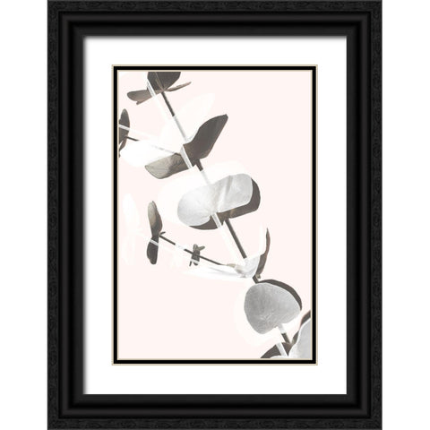 Eucalyptus Creative 13 Black Ornate Wood Framed Art Print with Double Matting by 1x Studio III