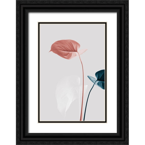 Monstera Creative 25 Black Ornate Wood Framed Art Print with Double Matting by 1x Studio III