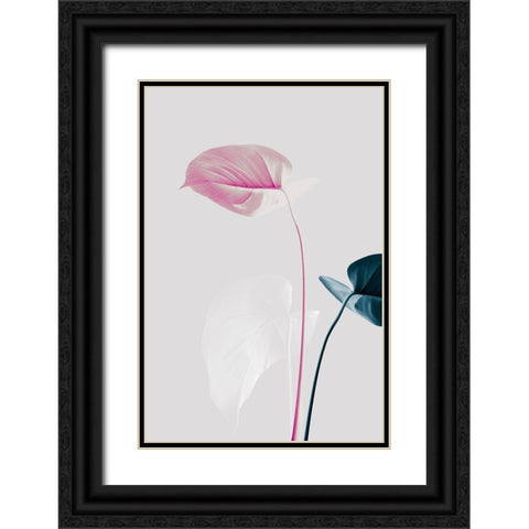 Monstera Creative 24 Black Ornate Wood Framed Art Print with Double Matting by 1x Studio III