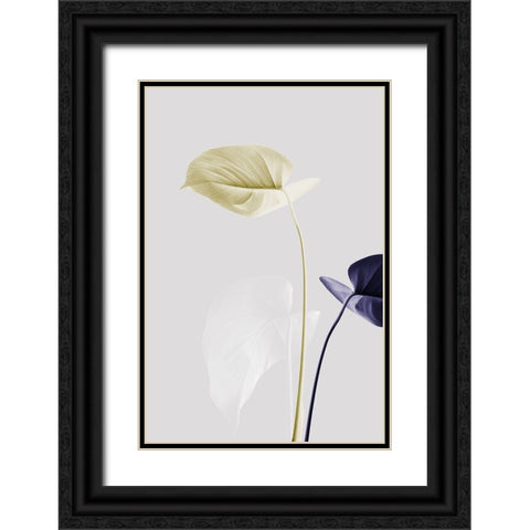 Monstera Creative 23 Black Ornate Wood Framed Art Print with Double Matting by 1x Studio III