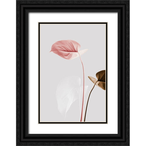 Monstera Creative 21 Black Ornate Wood Framed Art Print with Double Matting by 1x Studio III