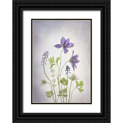 Spring Black Ornate Wood Framed Art Print with Double Matting by L., Binbin