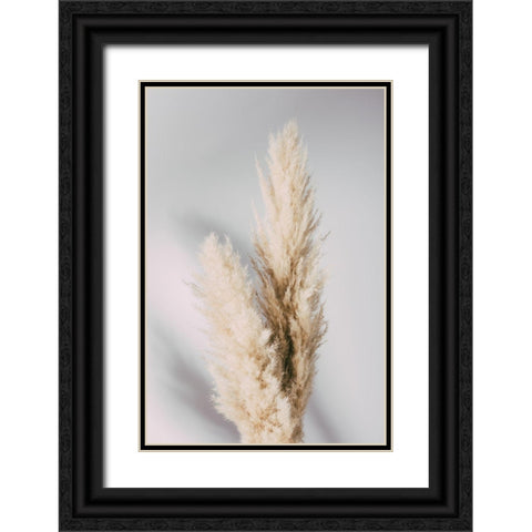 Pampas Grass Grey Black Ornate Wood Framed Art Print with Double Matting by 1x Studio III