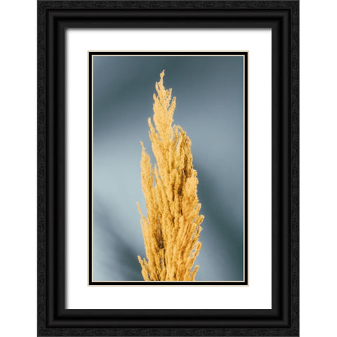 Yellow Grass Blue Black Ornate Wood Framed Art Print with Double Matting by 1x Studio III