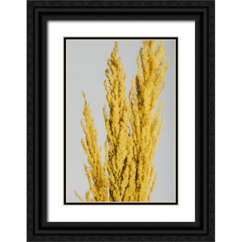 Yellow Grass Close Black Ornate Wood Framed Art Print with Double Matting by 1x Studio III
