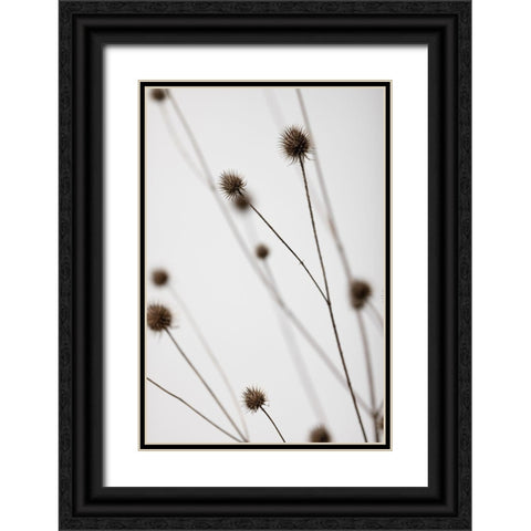 Thistle Grey 05 Black Ornate Wood Framed Art Print with Double Matting by 1x Studio III