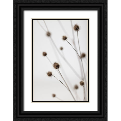 Thistle Grey 06 Black Ornate Wood Framed Art Print with Double Matting by 1x Studio III