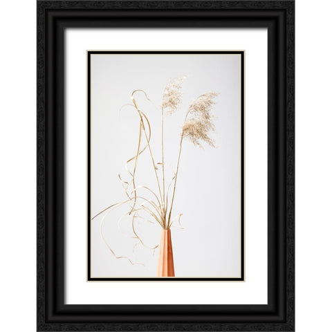 Dried Grass Terracotta Black Ornate Wood Framed Art Print with Double Matting by 1x Studio III