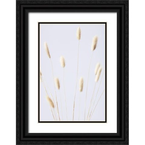 Bunny Grass No 2 Black Ornate Wood Framed Art Print with Double Matting by 1x Studio III