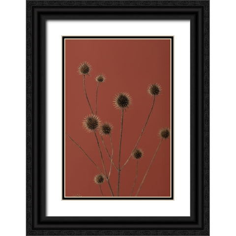 Thistle Rust Red 01 Black Ornate Wood Framed Art Print with Double Matting by 1x Studio III