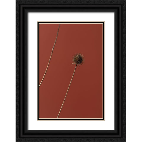 Thistle Rust Red 03 Black Ornate Wood Framed Art Print with Double Matting by 1x Studio III