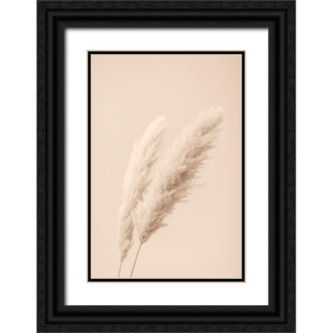 Pampas Grass Begie 15 Black Ornate Wood Framed Art Print with Double Matting by 1x Studio III