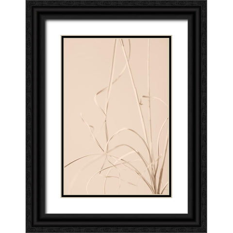 Dried Grass Beige 01 Black Ornate Wood Framed Art Print with Double Matting by 1x Studio III