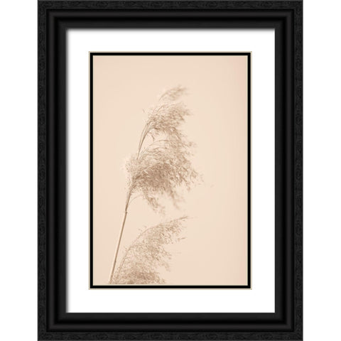 Reed Grass Beige 03 Black Ornate Wood Framed Art Print with Double Matting by 1x Studio III